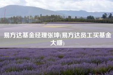 易方达基金经理张坤(易方达员工买基金大赚)