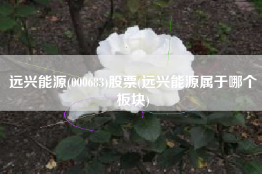 远兴能源(000683)股票(远兴能源属于哪个板块)