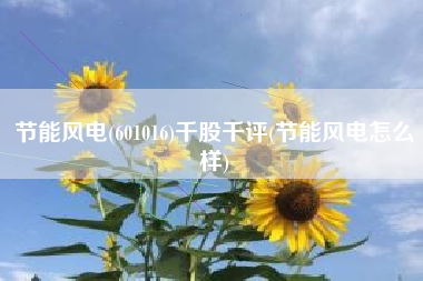 节能风电(601016)千股千评(节能风电怎么样)