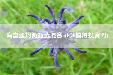 海富通均衡甄选混合a(FOF值得投资吗)