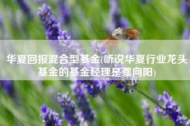 华夏回报混合型基金(听说华夏行业龙头基金的基金经理是蔡向阳)