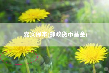 嘉实保本(邮政货币基金)