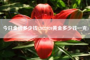 今日金价多少钱(2022920黄金多少钱一克)