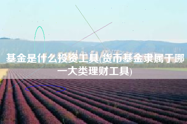 基金是什么投资工具(货币基金隶属于哪一大类理财工具)