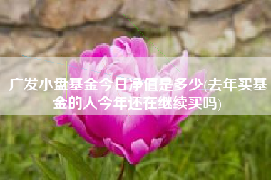 广发小盘基金今日净值是多少(去年买基金的人今年还在继续买吗)