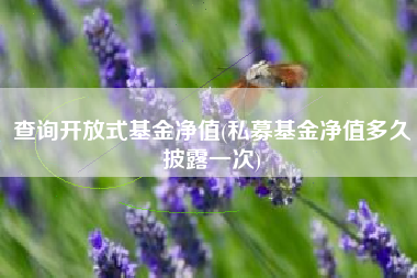 查询开放式基金净值(私募基金净值多久披露一次)