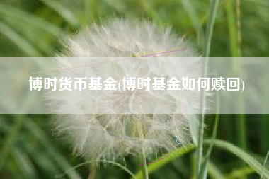 博时货币基金(博时基金如何赎回)