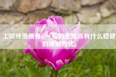 工银纯债债券a(一般的上班族有什么稳健的理财方式)