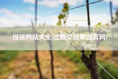 投资网站大全(江西交投集团官网)