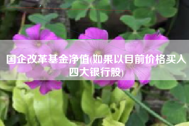 国企改革基金净值(如果以目前价格买入四大银行股)