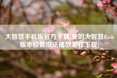 大智慧手机版官方下载(我的大智慧flash版本较低没法播放怎样下载)
