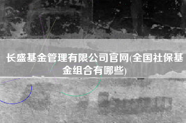 长盛基金管理有限公司官网(全国社保基金组合有哪些)