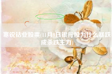 寒锐钴业股票(11月9日银行股为什么暴跌成杀跌主力)