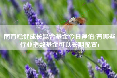 南方稳健成长混合基金今日净值(有哪些行业指数基金可以长期配置)