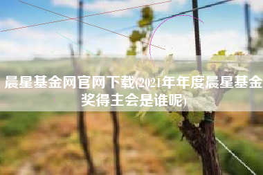 晨星基金网官网下载(2021年年度晨星基金奖得主会是谁呢)