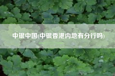 中银中国(中银香港内地有分行吗)