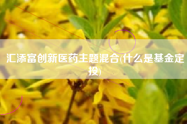 汇添富创新医药主题混合(什么是基金定投)