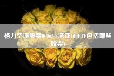 格力空调股票000651(深证100ETF包括哪些股票)