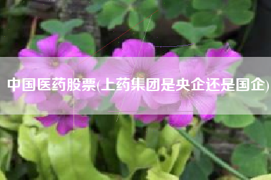中国医药股票(上药集团是央企还是国企)