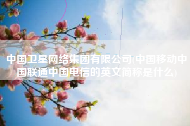 中国卫星网络集团有限公司(中国移动中国联通中国电信的英文简称是什么)