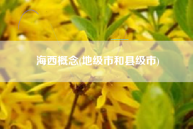 海西概念(地级市和县级市)