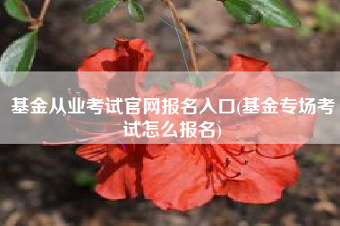 基金从业考试官网报名入口(基金专场考试怎么报名)