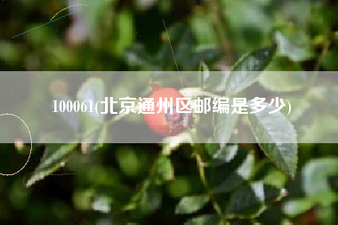 100061(北京通州区邮编是多少)