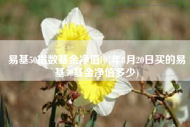 易基50指数基金净值(07年8月20日买的易基50基金净值多少)
