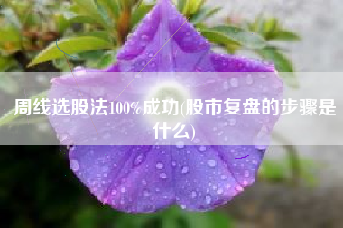 周线选股法100%成功(股市复盘的步骤是什么)