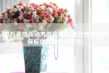 申万菱信新动力混合基金(重仓创业板环保板块的基金有哪些)