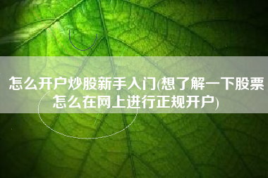 怎么开户炒股新手入门(想了解一下股票怎么在网上进行正规开户)