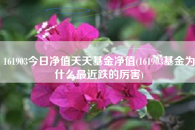 详细阅读:161903今日净值天天基金净值(161903基金为什么最近跌的厉害) 161903今日净值天天基金净值(161903基金为什么最近跌的厉害)