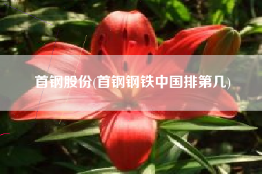 首钢股份(首钢钢铁中国排第几)