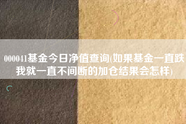 000041基金今日净值查询(如果基金一直跌我就一直不间断的加仓结果会怎样)