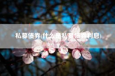 私募债券(什么是私募债券利息)