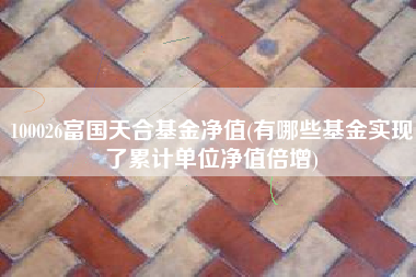 100026富国天合基金净值(有哪些基金实现了累计单位净值倍增)