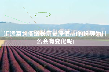 汇添富均衡增长历史净值(etf的份额为什么会有变化呢)