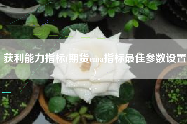 获利能力指标(期货ema指标最佳参数设置)
