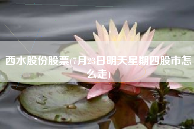 西水股份股票(7月23日明天星期四股市怎么走)