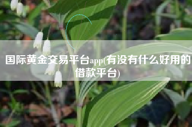 国际黄金交易平台app(有没有什么好用的借款平台)