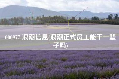 000977 浪潮信息(浪潮正式员工能干一辈子吗)