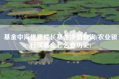 基金中海优质成长基金净值查询(农业银行买基金怎么查历史)