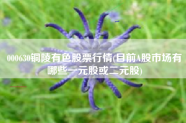 详细阅读:000630铜陵有色股票行情(目前A股市场有哪些一元股或二元股) 000630铜陵有色股票行情(目前A股市场有哪些一元股或二元股)