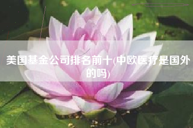 美国基金公司排名前十(中欧医疗是国外的吗)