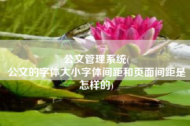 公文管理系统(
公文的字体大小字体间距和页面间距是怎样的) 公文管理系统(
公文的字体大小字体间距和页面间距是怎样的)