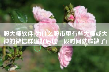 股大师软件(为什么股市里有些大师或大神的微信群建好后过一段时间就解散了)