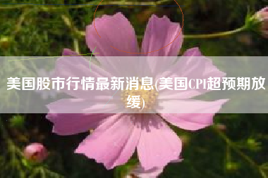 美国股市行情最新消息(美国CPI超预期放缓)