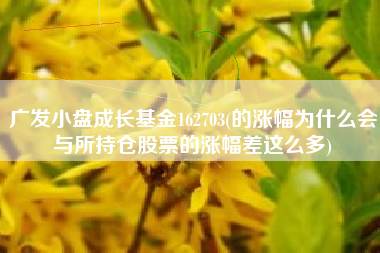 广发小盘成长基金162703(的涨幅为什么会与所持仓股票的涨幅差这么多)