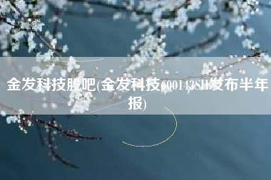 金发科技股吧(金发科技600143SH发布半年报)