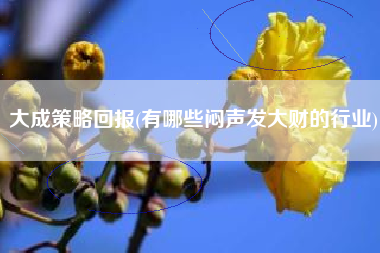 大成策略回报(有哪些闷声发大财的行业)